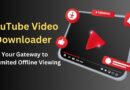 YouTube video downloaders