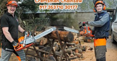 craftsman chainsaw 917.353710 30177