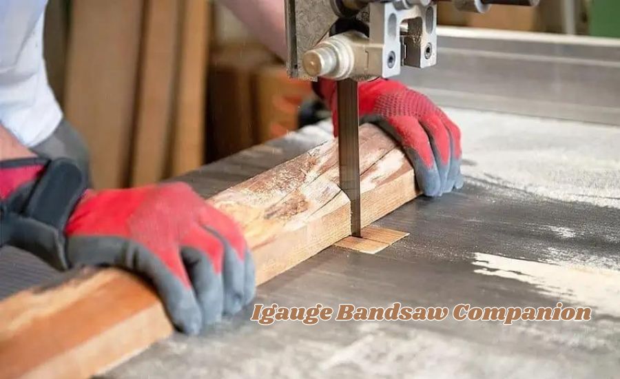 igauge bandsaw companion